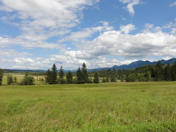 DSC05658